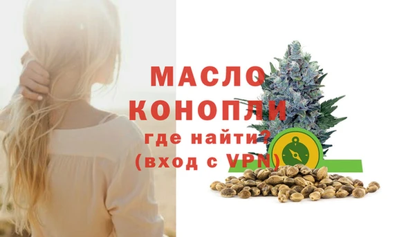 молекула духа Инта