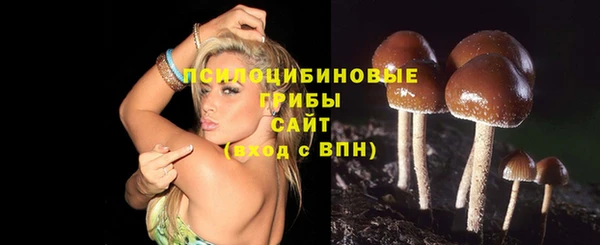 молекула духа Инта