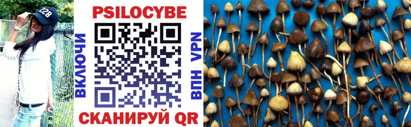 Псилоцибиновые грибы мухоморы  Купить где  Воткинск 